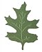 GIGA EMBOSS PUNCH OAK LEAF