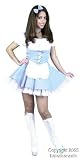 Sexy and Fun Alice in Wonderland Costume (With or Without Petticoat)