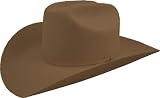 Bailey Western Hazer 5X Hat