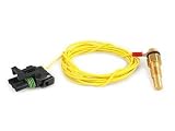 Edge Products 98608 1/8" NPT - 40�F to 300�F EAS Temperature Sensor