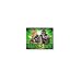 Star Wars Revenge of the Sith 8" X 10" Frameable 3-D Limited Edition Lenticular Wookie Poster