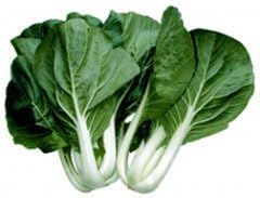 December01 &amp; Cabbage PAK Choi White Stem Great Heirloom Vegetable 400 Seeds