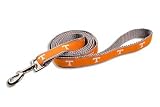 University of Tennessee Volunteers Dog Puppy Leash Small Officially Licensed