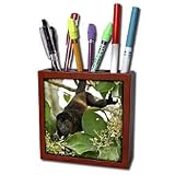 Kike Calvo Panama - Mantled howler monkey Alouatta palliata - Tile Pen Holders-5 inch tile pen holder