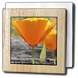 318rMMTivcL. SL160  california poppy II   6 Inch Tile Napkin Holder