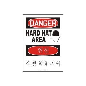 DANGER HARD HAT AREA (W/GRAPHIC) Sign - Plastic