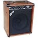 Pignose G40V Tube Amp