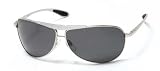 Anarchy Alarm Silver Smoke Polarized Eyewear