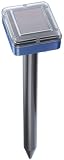 Isotronic Solar-Ameisenschock