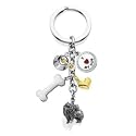 Dog Lover 5 Charm Pomeranian Keychain is All Dog!