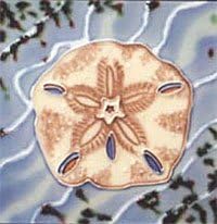 Sand Dollar Decorative Ceramic Wall Art Tile 4x4