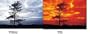 Cokin Creative Filter A002 (Orange)