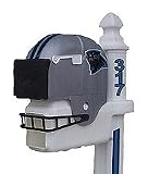 Carolina Panthers Helmet Style Mailbox