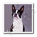 boston_terrier44boston terrier - Boston Terrier 10x10 Iron On Heat Transfer For