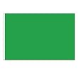 Irish Green Solid Flag 3x5ft Nylon