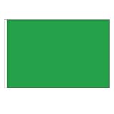 Irish Green Solid Flag 3x5ft Nylon