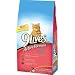 9Lives Active Formula Beef Tenderloin & Roasted Turkey Flavor Dry Cat Food