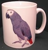 AFRICAN GREY PARROT ARE THE GREATEST MUG