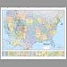 American Map 714883 Hammond Deluxe Laminated Rolled U.S. Political Map, 50w x38h