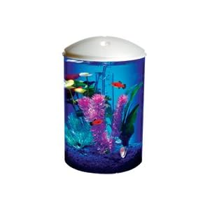 aquarium accessories