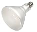 Satco Products S7003 130V 300BR40 Fluorescent Pool Lamp