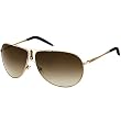 Carrera Gipsy/S Adult Aviator Metal Sports Sunglasses - Gold Semi Shiny/Brown Gradient