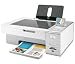 Lexmark X4875 Professional - Multifunction ( colour ) - ink-jet - copying (up to): 27 ppm (mono) / 21 ppm (colour) - printing (up to): 30 ppm (mono) / 27 ppm (colour) - 100 sheets - Hi-Speed USB, 802.11b, 802.11g, USB host