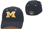 Michigan Wolverines Zephyr DH Fitted Cap / Hat