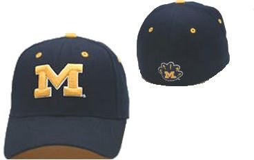 Buy Michigan Wolverines Zephyr DH Fitted Cap Hat by Zephyr Graf-X