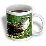Wild animals - Feruginous Hawk - Mugs
