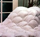 Ogalalla Down Comforters - Empress Hypodown 800 Fill - QUEEN