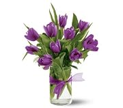Floral Teleflora's Spring Tulips - Purple
