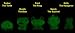 Glow In The Dark ZOO MANIA 2 Set of 5 Rare Mystery Squishies