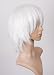 Cosplayland C162 - 40cm layered flip out heat-resist Theater Cosplay Wig - Snow White