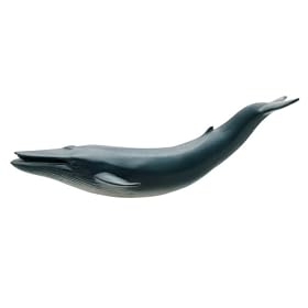 Blue Whale Marine Life Toy Model by Aquariums