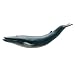 Blue Whale Marine Life Toy Model