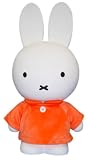 ｍｉｆｆｙ大きな貯金箱の画像