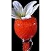 Water Pearls Beads - RED - Wedding Centerpiece - Makes 6 Gallons (8 Oz. Pack) + 1 Crystal Soil Rose