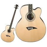 Acoustic Bass Guitars