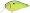 Chartreuse Hortin