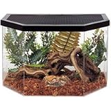 Repitat Reptile House 5 gal Flat Back Hex Acrylic Habitat with Metal Screen Top