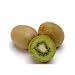 Pre Startified Hardy Kiwi Fruit 20 Seed -Actinidia chinensis-Perennial