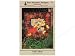 Search : Pine Meadows Designs Fall Colors Pattern