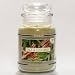 Sage Cinnamon Yankee Candle 22 oz