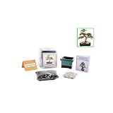 Bonsai Seed Kit Miniature Elm Complete Kit to Grow Bonsai from Seed 318xp4DI8YL. SL160 Bonsai Seed Kit Miniature Elm Complete Kit to Grow Bonsai from Seed