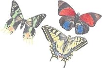 Butterflies Wallies Wallpaper Cut Outs