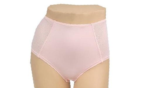 Breezies Hampton Mesh Inset Brief Panty W/patented Ultimair Breezies Hampton Mesh Inset Brief Panty W/patented Ultimair
