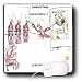 Londons Times Fish Fishing Deep Beneath Cartoons - Crawfish School Basics Do Not Kiss Cajuns - Mouse Pads Image