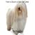 How to Groom A Coton de Tulear The Right Way