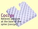 Pressure Reduction Deluxe Sero Cushions With Coccyx Cut Out and Blue Stockinette Covers~Reivre